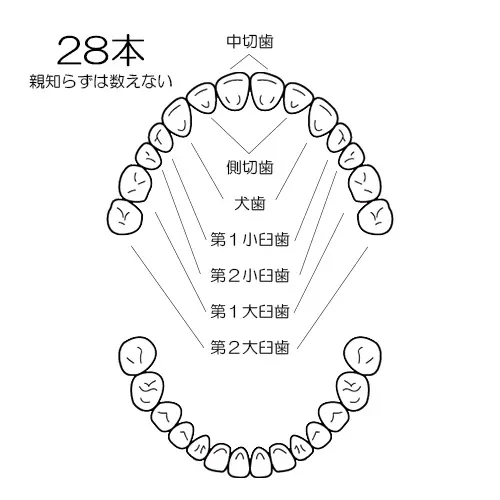 大澤デンタルクリニック